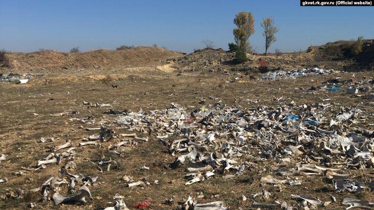 Винесено ухвалу про порушення адміністративного розслідування і встановлення винуватих осіб / прес-служба Державної ветеринарії Винесено ухвалу про порушення адміністративного розслідування і встановлення винуватих осіб / прес-служба Державної ветеринарії