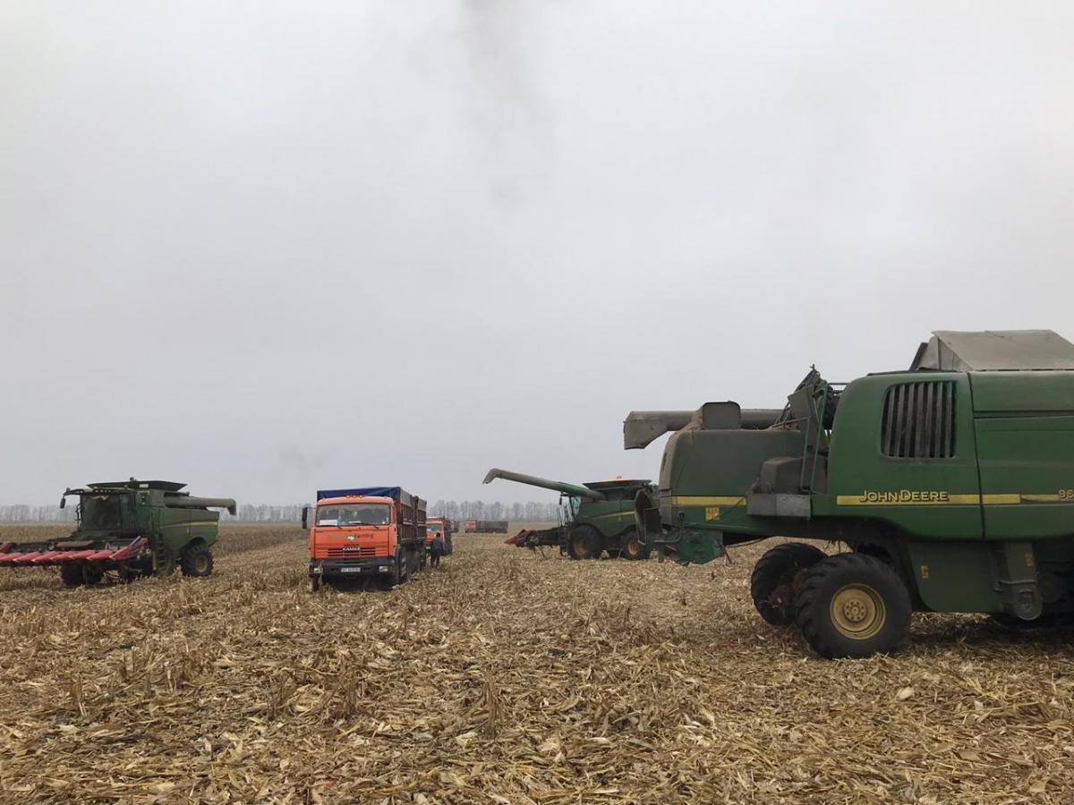 фото прес-служби Ukrlandfarming фото прес-служби Ukrlandfarming