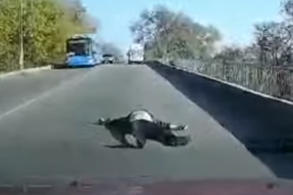 У коментарях під відео водія «швидкої» звинуватили в недбалості / скріншот У коментарях під відео водія «швидкої» звинуватили в недбалості / скріншот