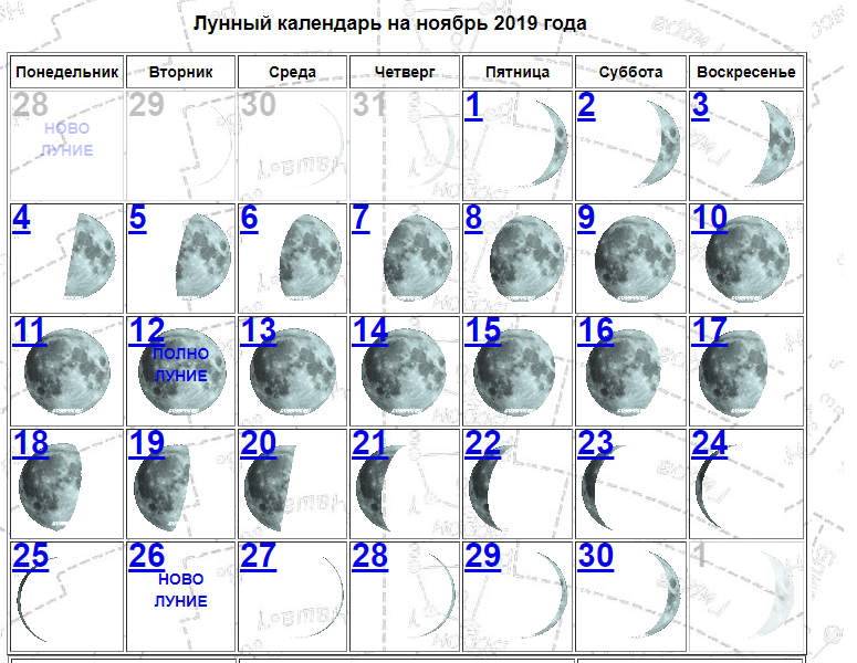 Какого числа новолуние в ноябре. Лунный календарь на ноябрь 2019 года. Убывающая Луна в декабре 2021. Растущая Луна в ноябре 2019. Убывающая Луна в ноябре 2021.