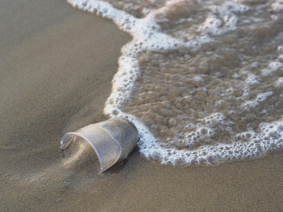 Ученые утверждают, что 83% находок в море — пластиковые отходы / facebook.com/NowasteUkraine Ученые утверждают, что 83% находок в море — пластиковые отходы / facebook.com/NowasteUkraine