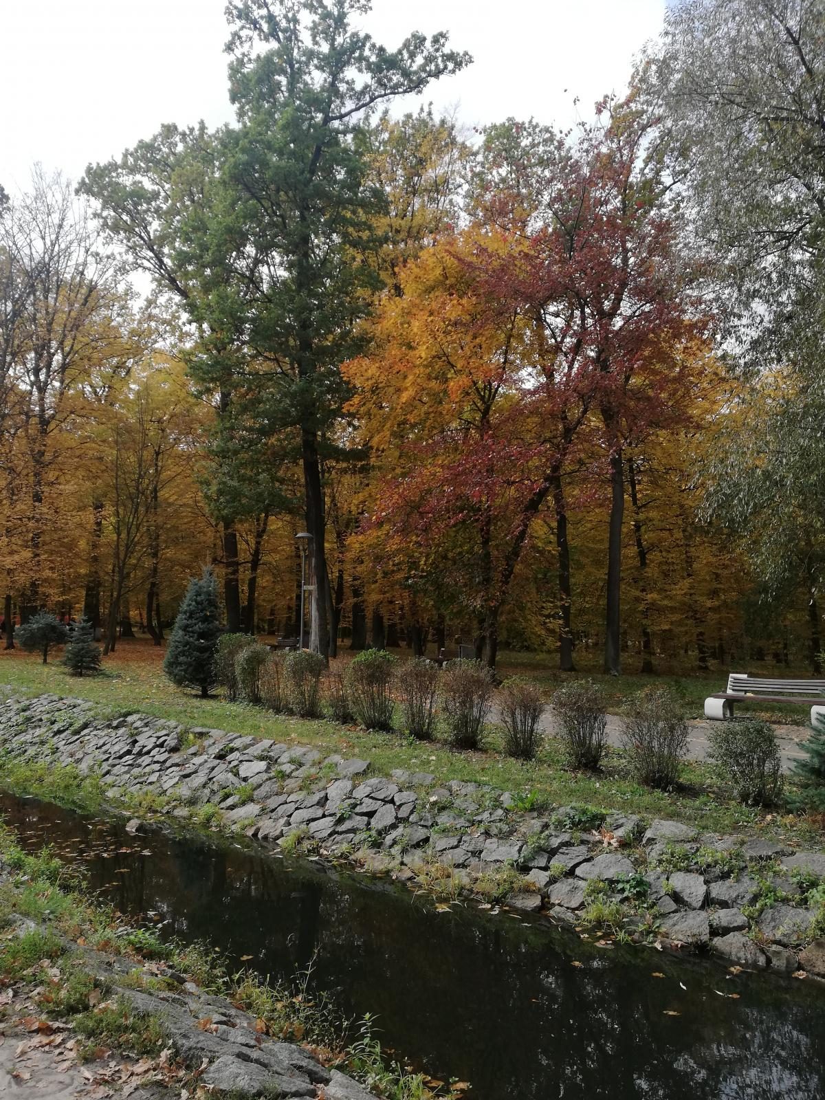 Фото Осенняя сказка в Бучанском парке 19 октября 2019