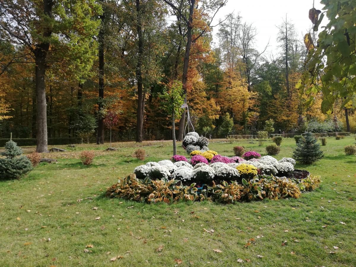 Фото Осенняя сказка в Бучанском парке 19 октября 2019