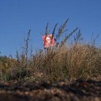 Ukrainian sappers neutralize almost 700 explosives in Donbas over week