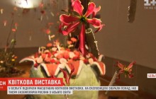 140 тысяч живых цветов в роскошном дворце: в Бельгии открыли масштабную цветочную выставку (видео)