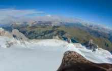 Врятувати планету: орлан пролетів над Альпами з камерою (відео)