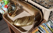 На обеспечение обороноспособности Украины передали золото из окружения Януковича - ОГПУ