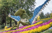 Kyiv's Spivoche Field hosts Chrysanthemum Festival (Photo)