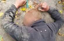 На Київщині 16-річна дівчина заявила, що її у лісі побив та зґвалтував рідний батько (фото)