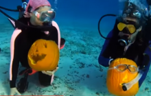 Хеллоуин под водой: в США дайверы вырезали тыквы на глубине 9 метров (видео)