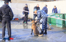 Россиянин убил мать и расчленил - голову положил в холодильник (фото)