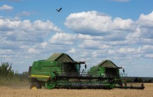 Собственные семена обходятся «Укрлендфарминг» в 4-5 раз дешевле покупных