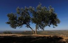 Зливи та буревії: синоптик шокував прогнозом погоди на це літо