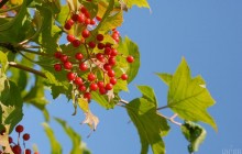 Почти лето: 13 сентября порадует украинцев теплом и солнцем