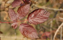 Погода на завтра: в Україні буде тепло, на заході пройдуть дощі (відеопрогноз)