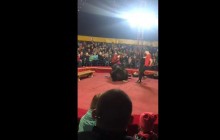 В России медведь едва не растерзал дрессировщика во время циркового шоу (видео)