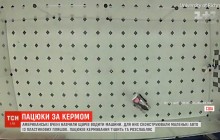 В США крыс научили управлять маленькими авто (видео)