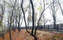 У Києві завтра без опадів,температура вдень до 0°