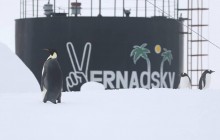 Імператорський пінгвін навідався до українських полярників в Антарктиді (фото)