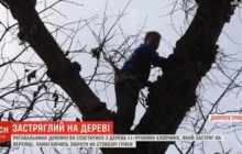 Під Дніпром рятувальники знімали з високого дерева хлопчика, який поліз туди по гриби (відео)