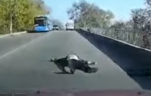 На Днепропетровщине пациент на ходу выпал из "скорой" (видео)
