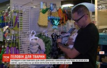 Американці витратили півмільярда доларів на костюми для домашніх улюбленців на Хеловін (відео)