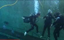 Выпить в окружении рыб: в Бельгии открылся бар под водой (видео)