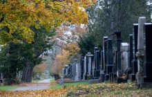 "Готовимся к худшему": в Днепре выкопали 600 могил для захоронения умерших от коронавируса