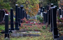 В ОРДЛО открывают новые кладбища, чтобы хоронить "мобилизованных" - правозащитники