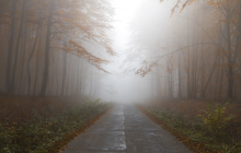 Погода в Україні на сьогодні: буде холодно та без опадів (карта)