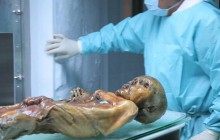 Науковці розгадали останній маршрут 5300-річної крижаної мумії завдяки моху (фото)