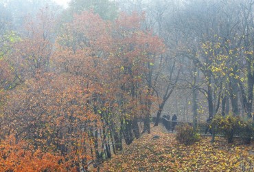 У Києві оголосили І рівень небезпеки: погода ускладниться вже вночі (інфографіка)