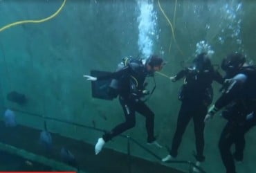 Випити в оточенні риб: у Бельгії відкрився бар під водою (відео)