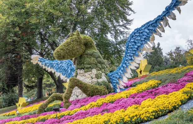 Созвездие из 20 тысяч хризантем: на Певческом поле в Киеве представили новую цветочную выставку (фоторепортаж)