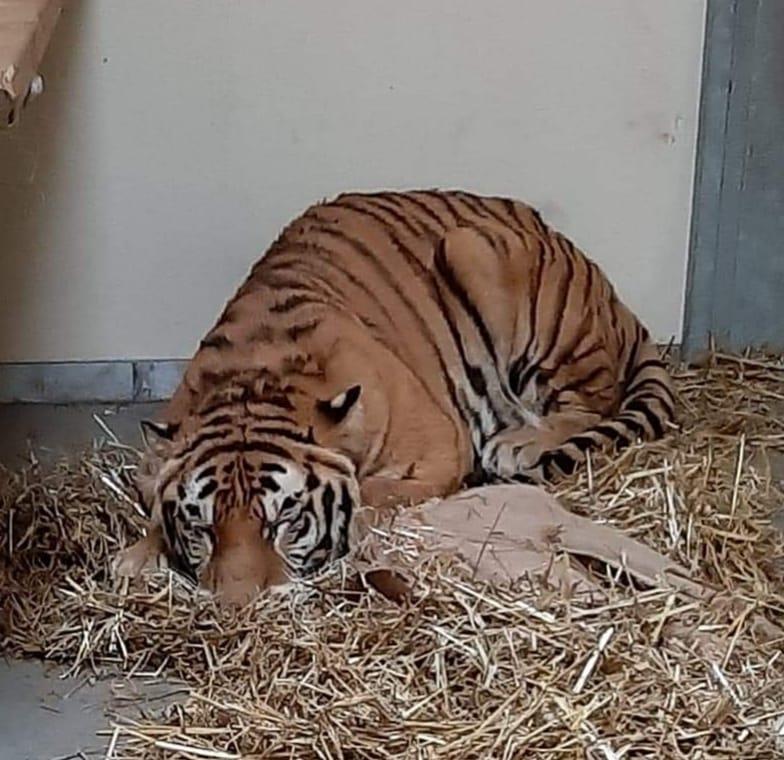facebook.com/Zoo-Poznań-Official-Site facebook.com/Zoo-Poznań-Official-Site