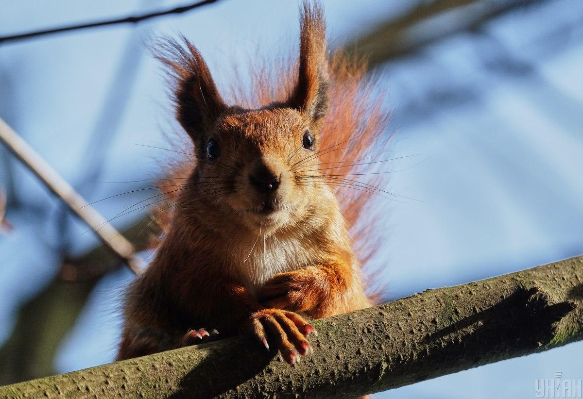 Сегодня в Киеве будет последний теплый день перед похолоданием