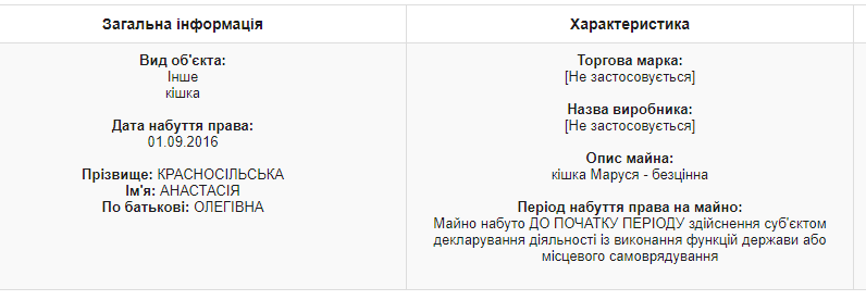 "Бесценная" кошка Маруся попала в декларацию нардепа / скриншот
