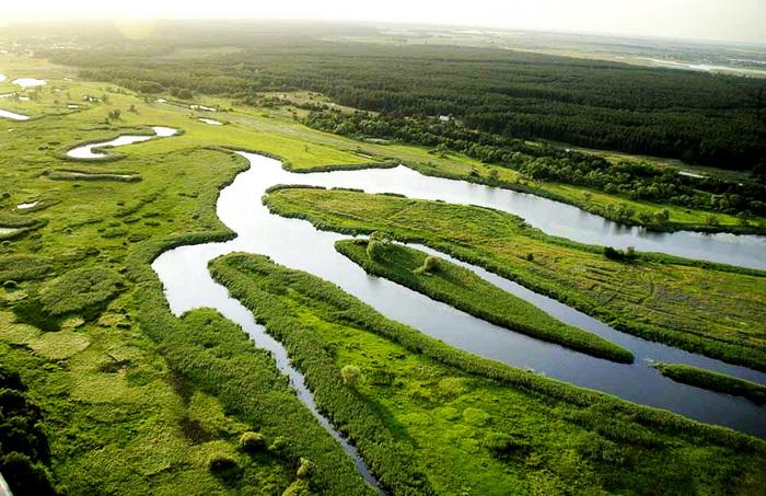 Прокуратура планує скасувати незаконні заяви Держгеокадастру / gp.gov.ua Прокуратура планує скасувати незаконні заяви Держгеокадастру / gp.gov.ua