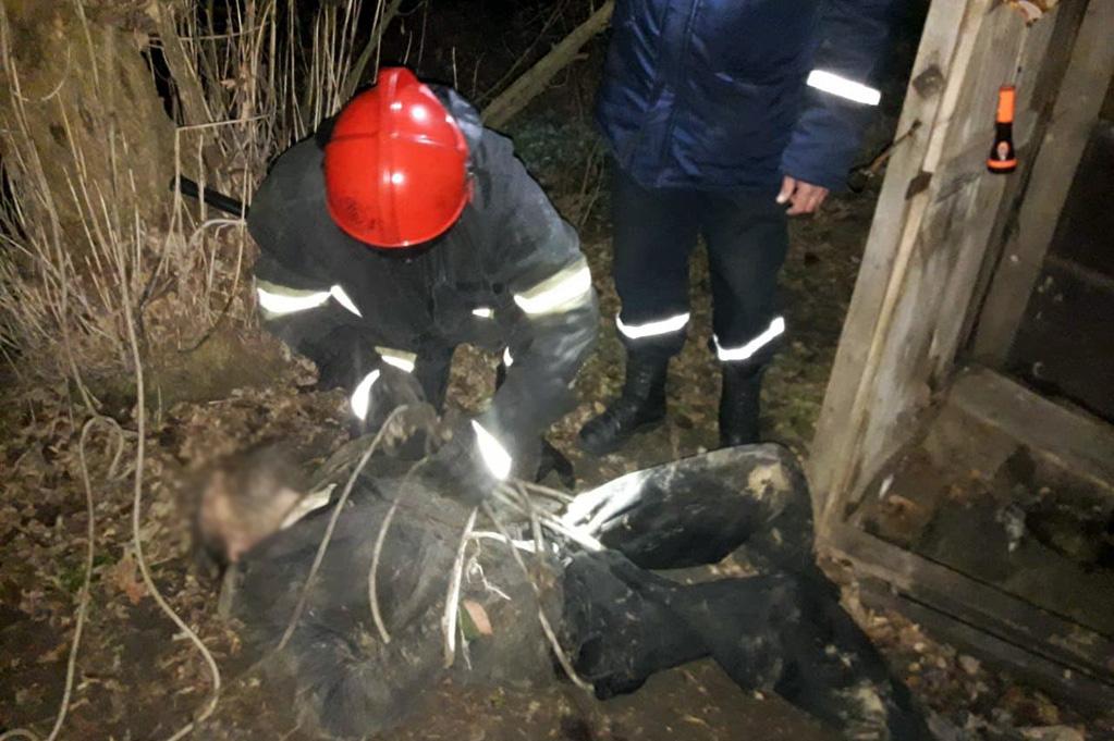 Сам вибратися з ями чоловік не зміг / dp.dsns.gov.ua Сам вибратися з ями чоловік не зміг / dp.dsns.gov.ua