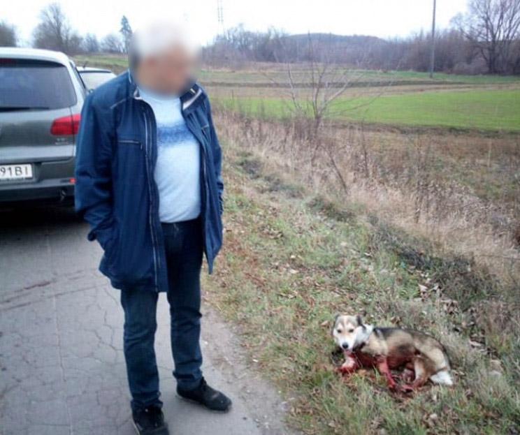 На Хмельниччині поліція розслідує обставини жорстокого поводження з собакою / фото facebook.com/policia.Khmelnytskoi.oblasti/ На Хмельниччині поліція розслідує обставини жорстокого поводження з собакою / фото facebook.com/policia.Khmelnytskoi.oblasti/