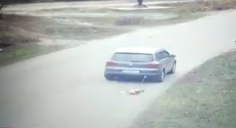 По словам активистов, живодера хотят отмазать / скриншот