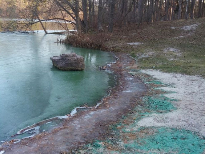 Местные подозревают, что в озеро сбрасывают токсические отходы / facebook Горенка