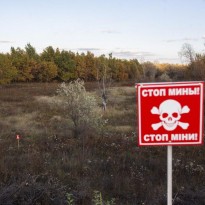 После разведения сил в Петровском начнут разминирование