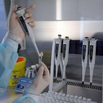 В Украине утвердили стандарты микробиологической диагностики туберкулеза
