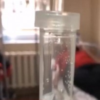 Во Львове после свадьбы на больничную койку попали 11 человек (видео)