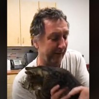 Сеть растрогало видео с котом, которого хозяин искал семь лет