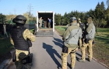 Зоопарк в Польше показал реабилитации тигров, спасенных от российской контрабанды (фото)