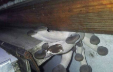 "Аби тріп був незабутнім": у мережі обговорюють фото з грибами, що ростуть в вагоні УЗ