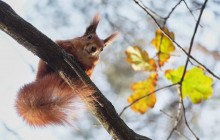 Синоптик повідомила, коли в Україну повернеться суха і тепла погода (відео)