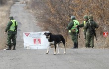У Кремлі зробили нову заяву щодо можливості визнання "ЛДНР"